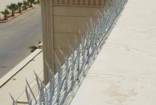 تركيب طارد الحمام